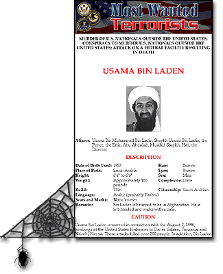 bin Laden trail grows cold