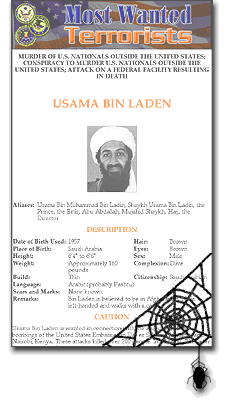 bin Laden trail grows cold