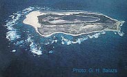 Laysan island