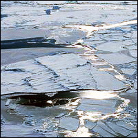  arctic ice  