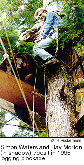 1995 treesitters