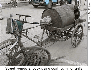 Street vendor cooks with coal