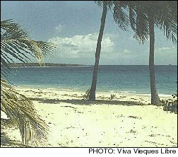 Vieques beach