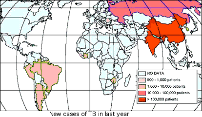 New TB Cases Per Year