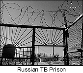 Russian TB Prison Gate