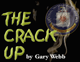  The Crack Up by Gary Webb 