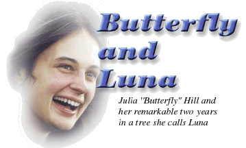  Julia Butterfly Hill